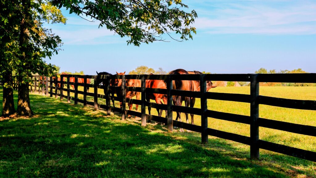 commercial farm and agricultural fence